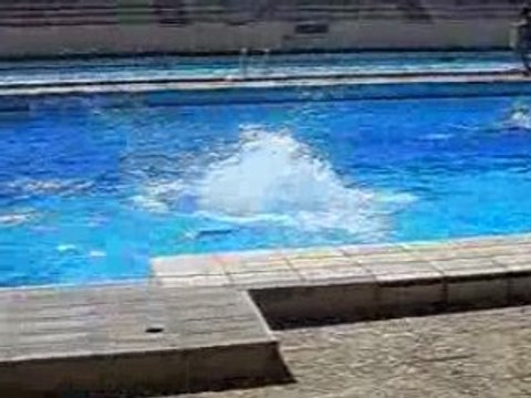 Vrai ! Coup de pied lune + salto plongeon