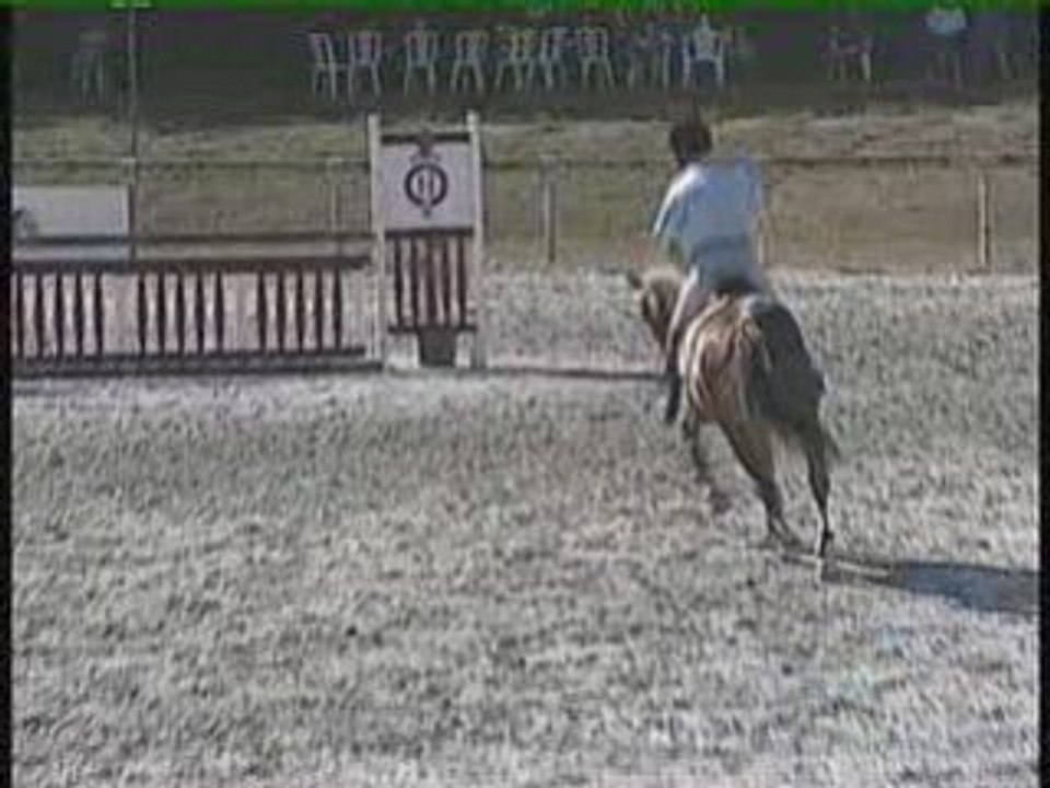 Ouessan de Viève CIR 1