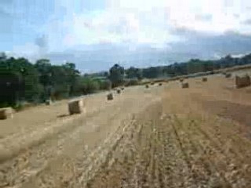 Nous au galop