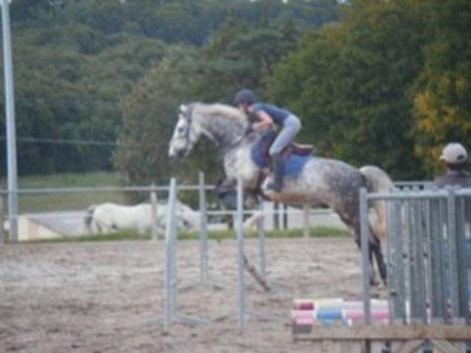 Anne et ses poneys