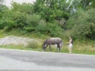 ravageur longues renes juillet