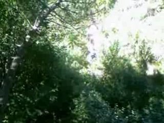 park aventure