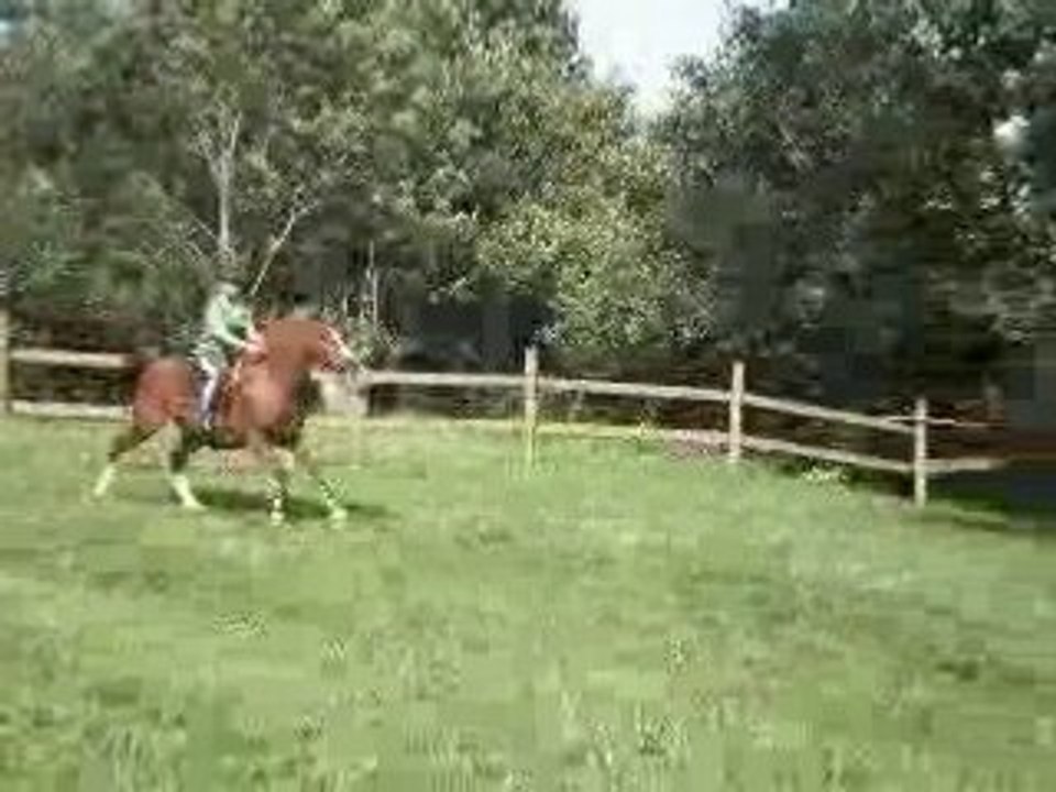 vidéos septembre