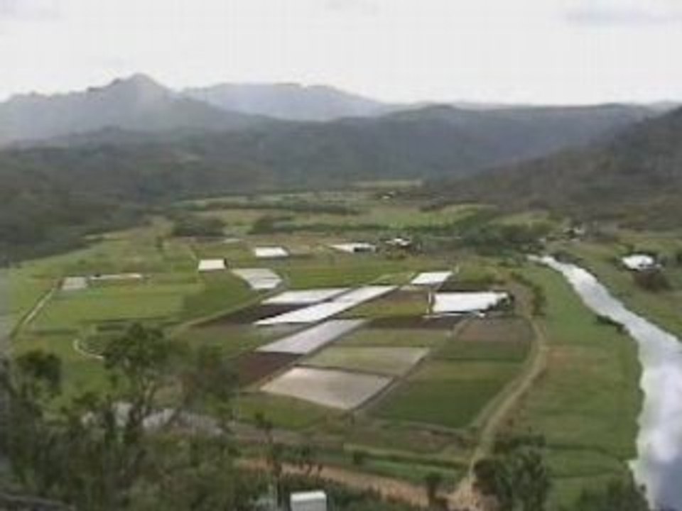 Land Called Hanalei, Island of Kauai, Hawaii