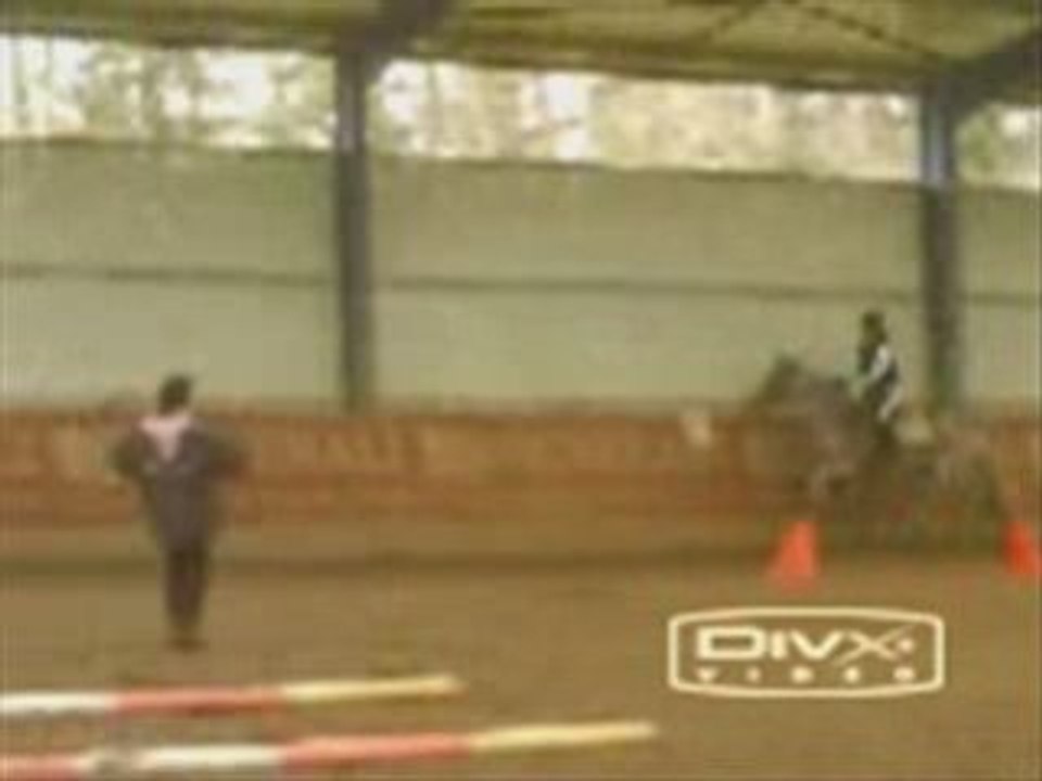 Moi et les chevaux du treuil