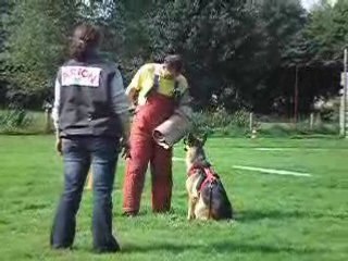 Mordant à Pontivy SCBA avec Johan Pied