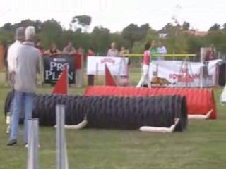 Vodka jumping Côte de Jade