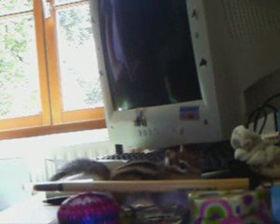 Twix en saut