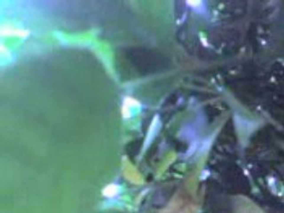 gabin défancant le portable a mathou :D