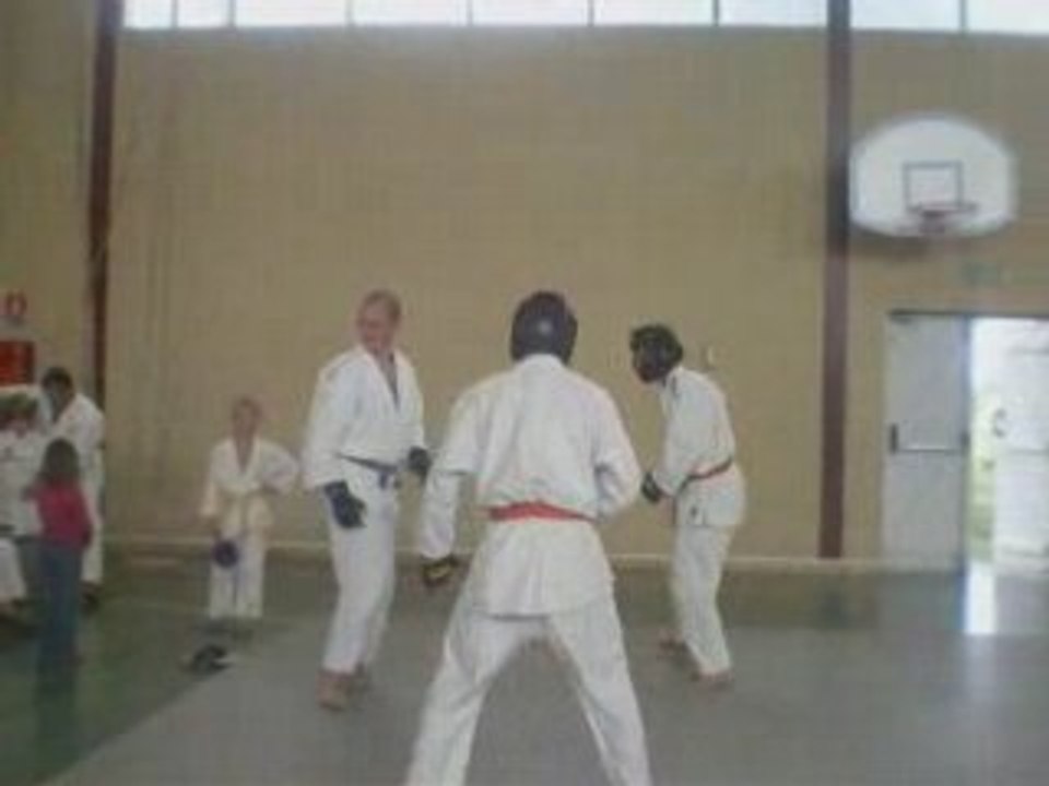 Combat 2 contre 1