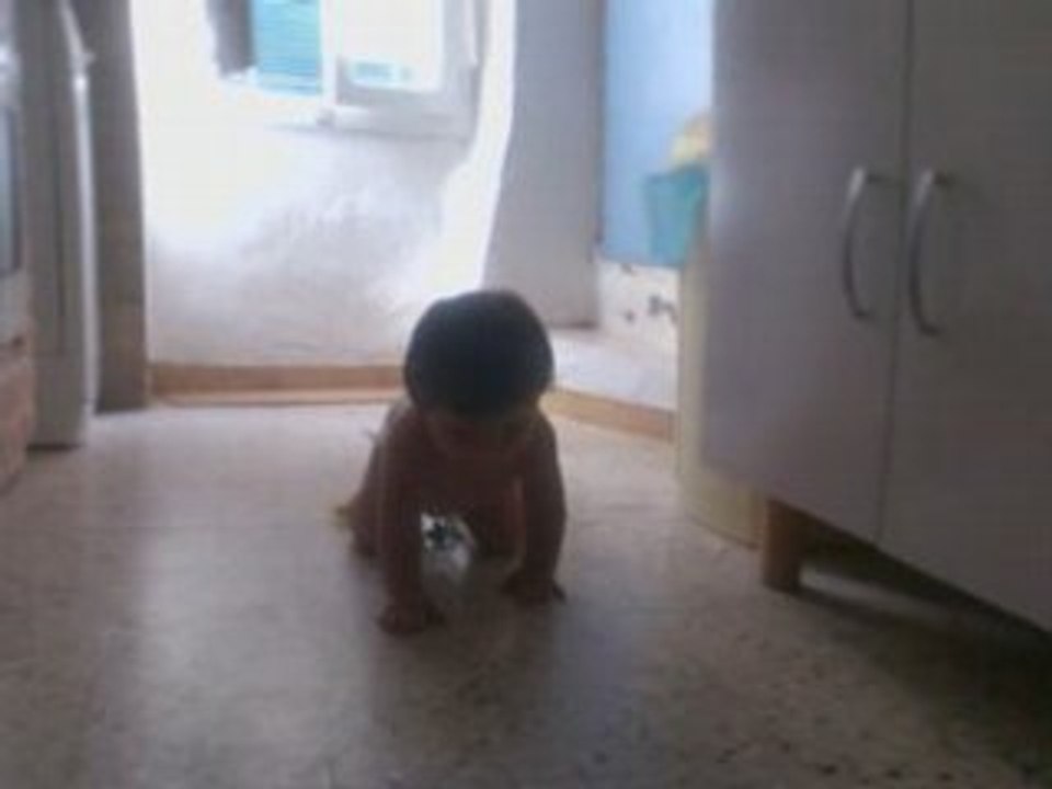 Ambre marche à quatre pattes