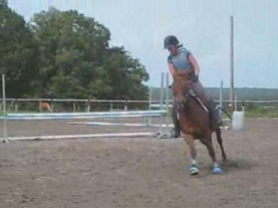 Isiia