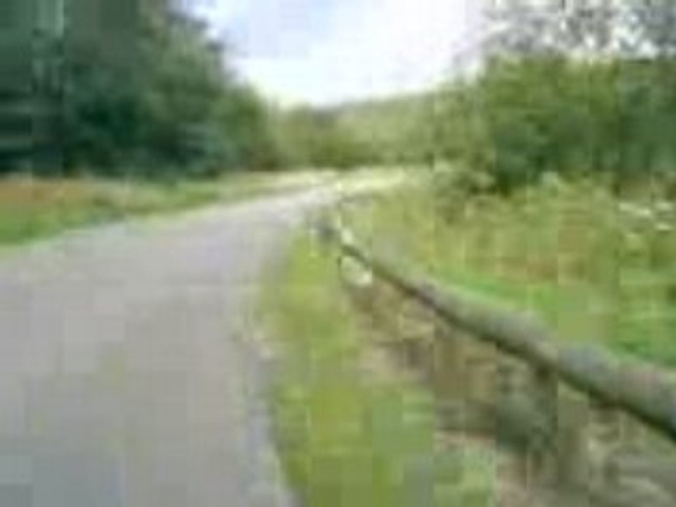 MOV00419