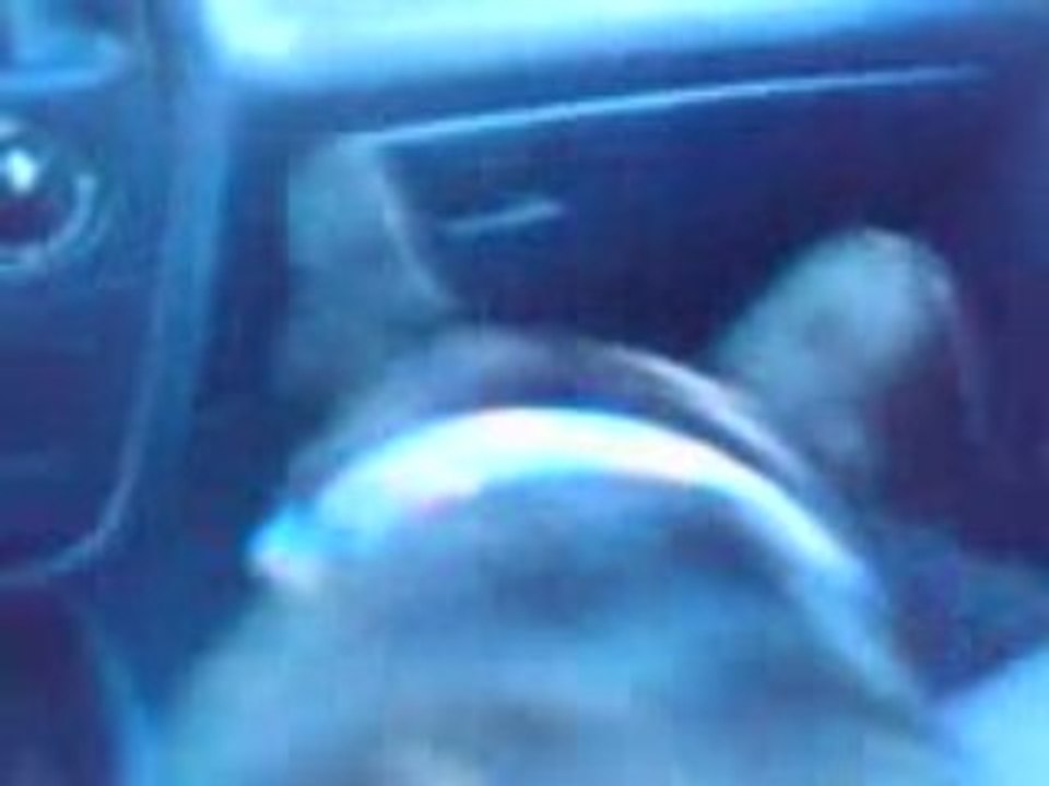 bouledogues francais