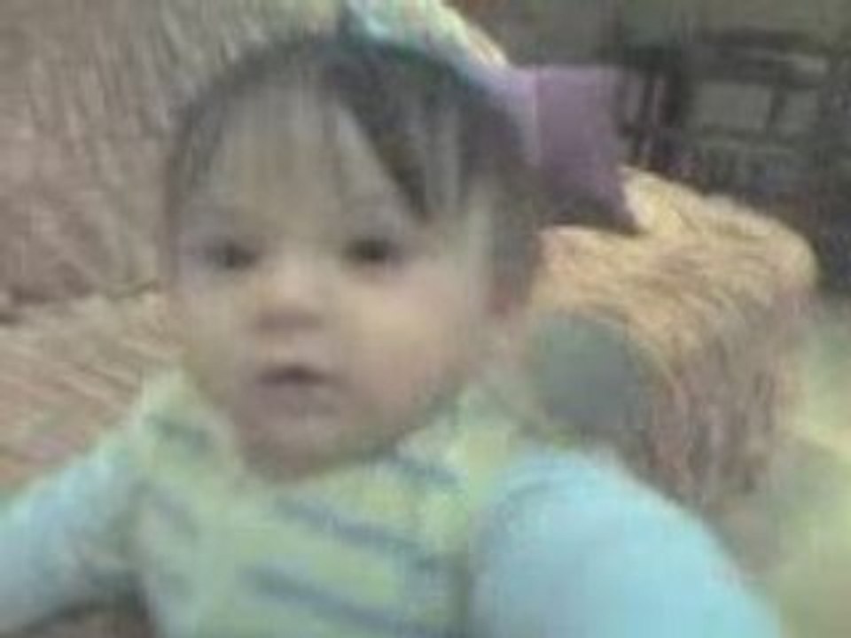 mikail muhabbet kuşu