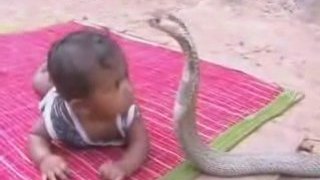 Movie Indian Baby Playing with King Cobra Indian Movie