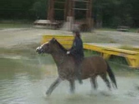 Alexandra et Macha au galop dans le gué