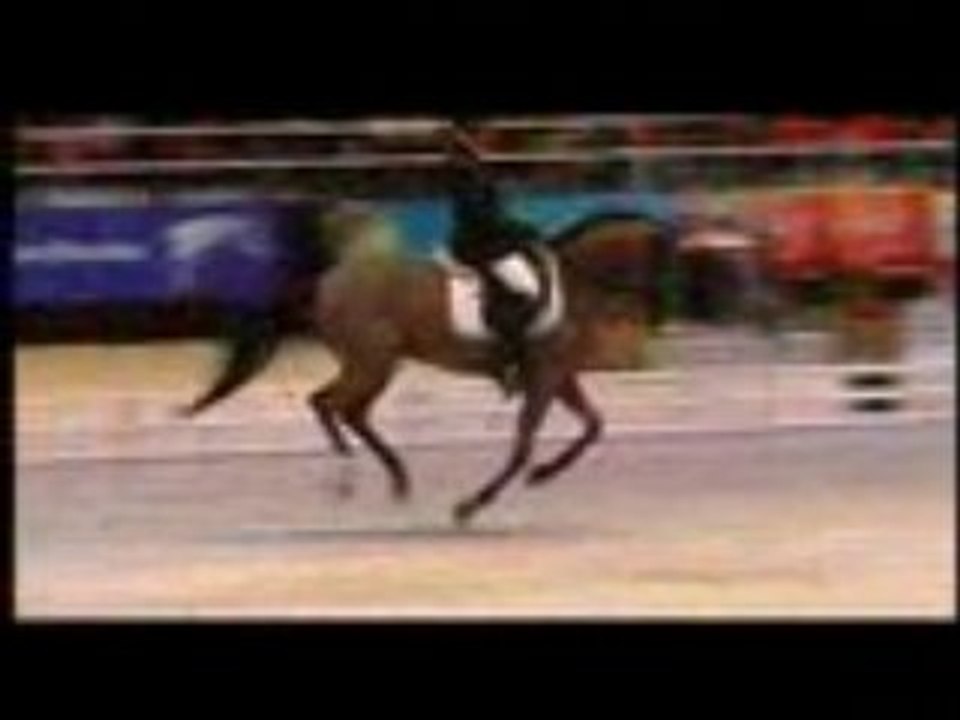 Salon du cheval