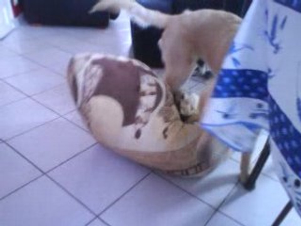 Dubai et son coussin