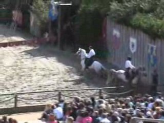 voltigeurs puy du fou