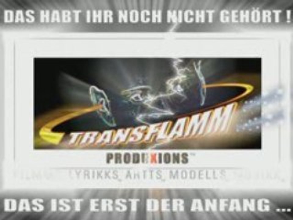 MODELS-TRANSFLAMM TT2_GERMAN_+
