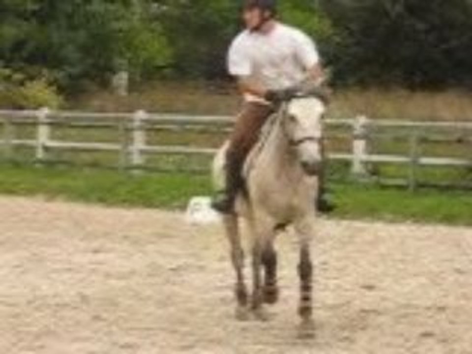 Minos et François le bidet 2MVI_2415