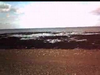 Sainte honorine des perdes