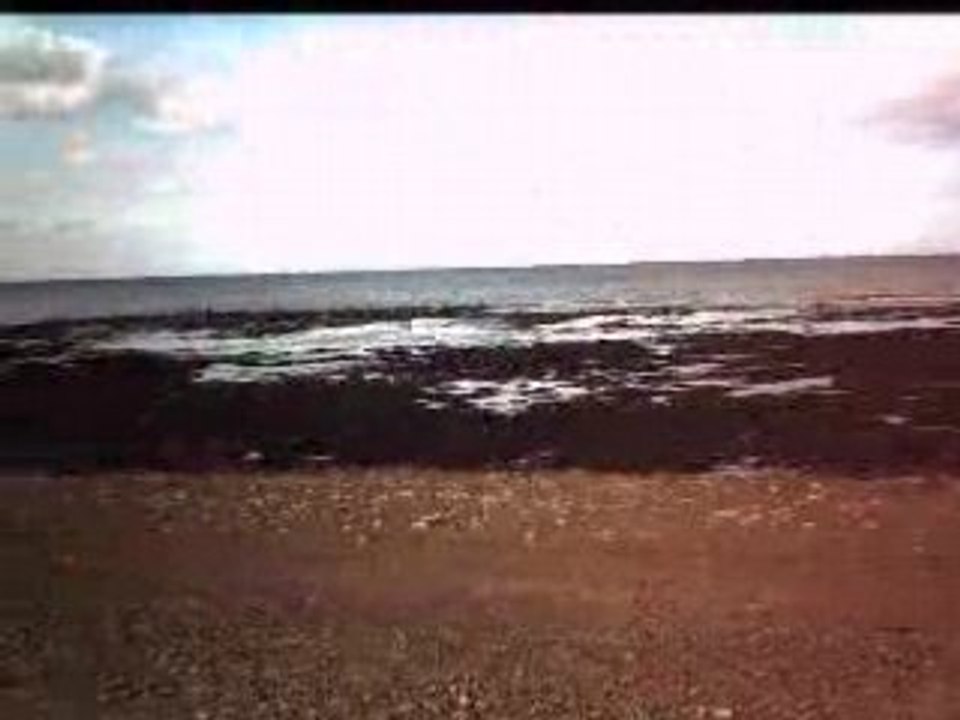 Sainte honorine des perdes