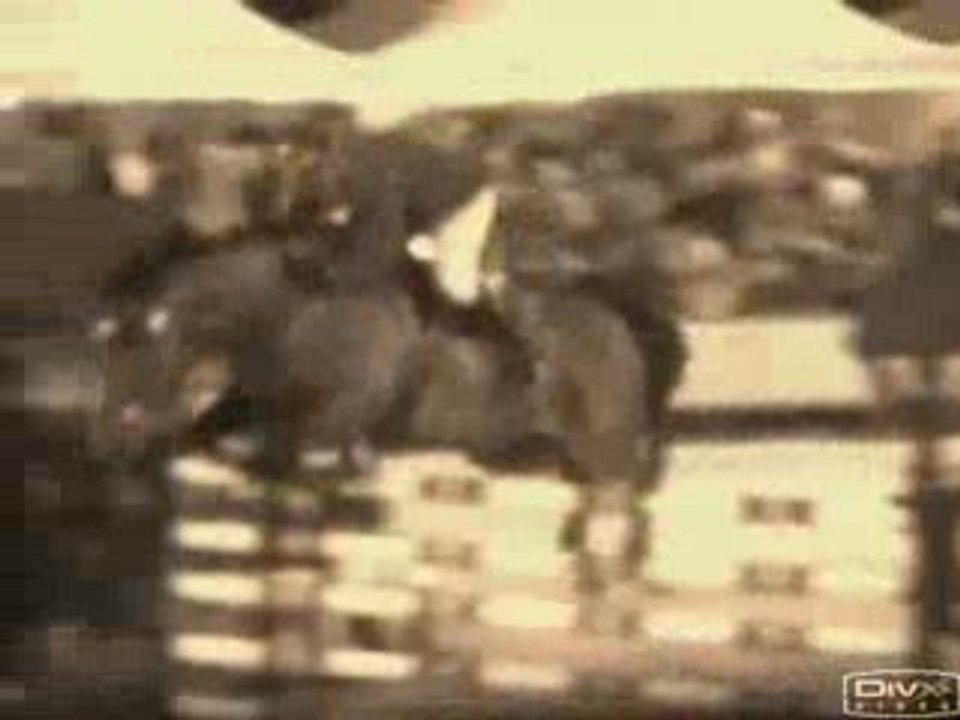 Jumping 2008
