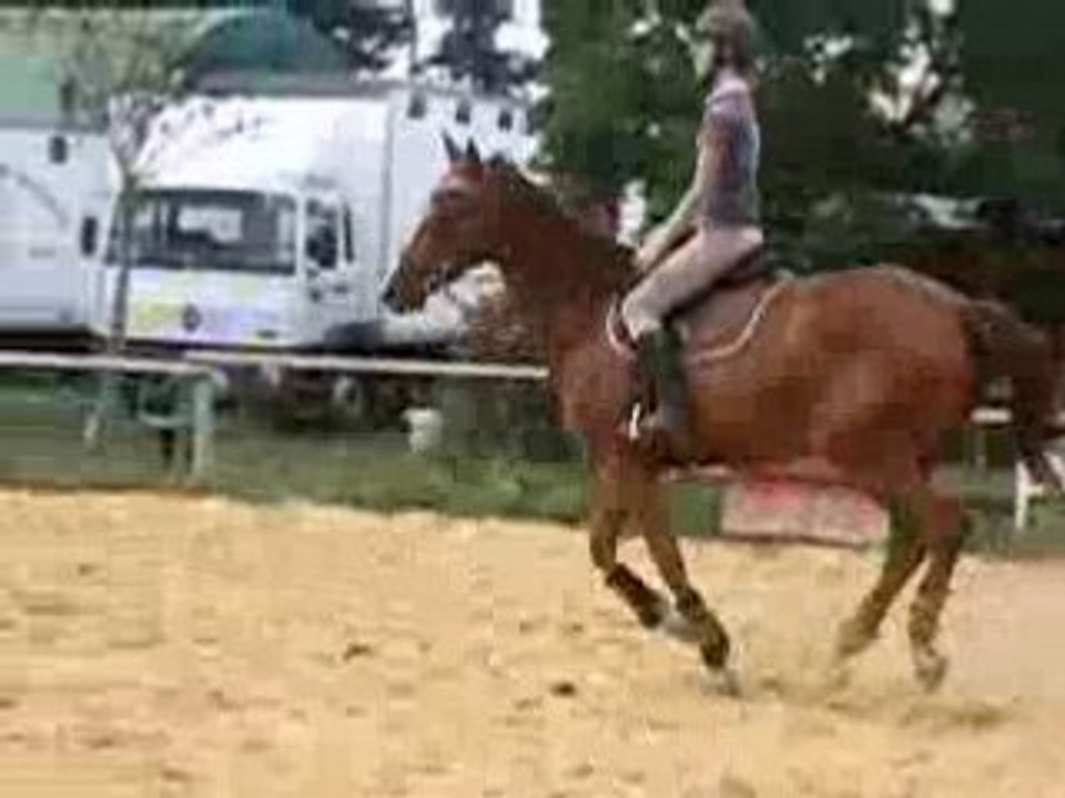 Optimiste au galop le 3 sept 2008