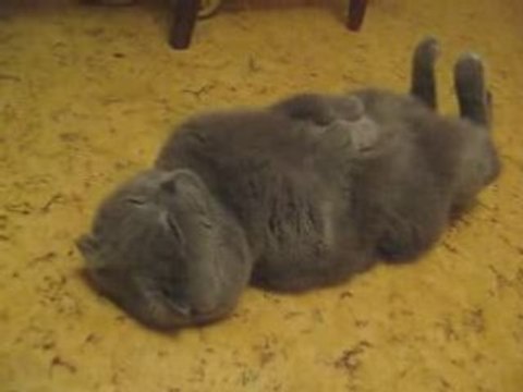 хорошо рядом с тобой