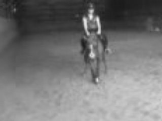 Moi et ma ponette entrainement dressage