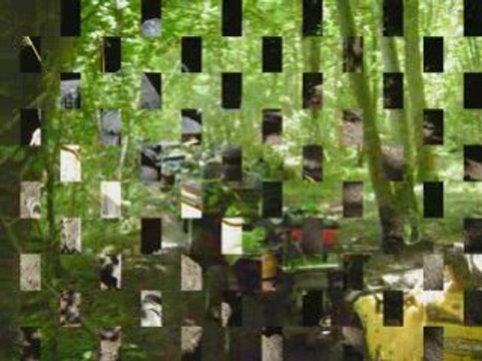 Le Crotoy 2008 partie 2