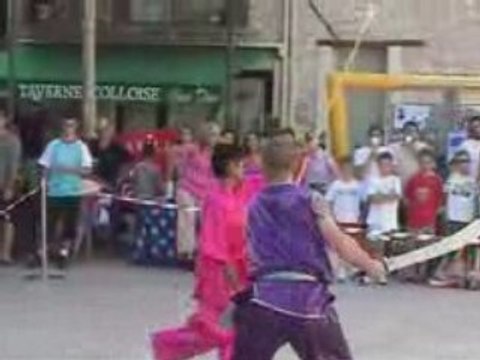 KUNG FU WUSHU demo WOLF la colle sur loup2