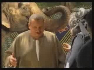 Camera 5afeya The Elephant