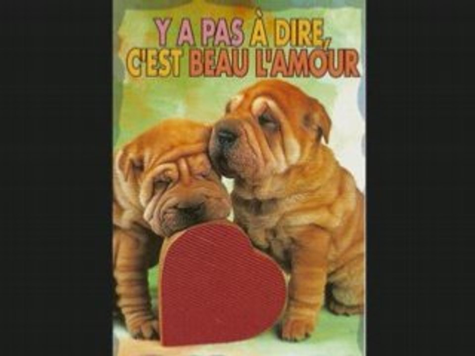 VIDEO POUR MA PUCE