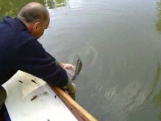 Sandre marco 2 no kill