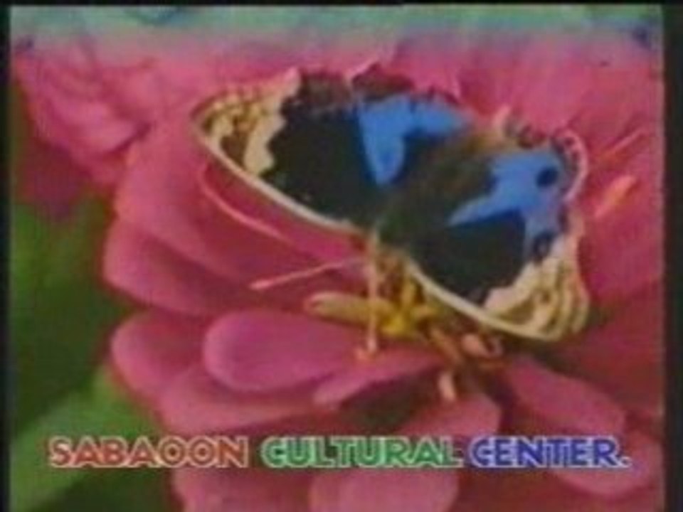 Nazia Iqbal-Pashto Mosiqui-Tang Takor-Afghan Music-Pasarlay