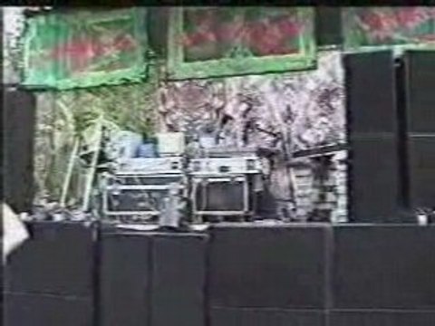 Goa - infected mushroom - live in costa rica