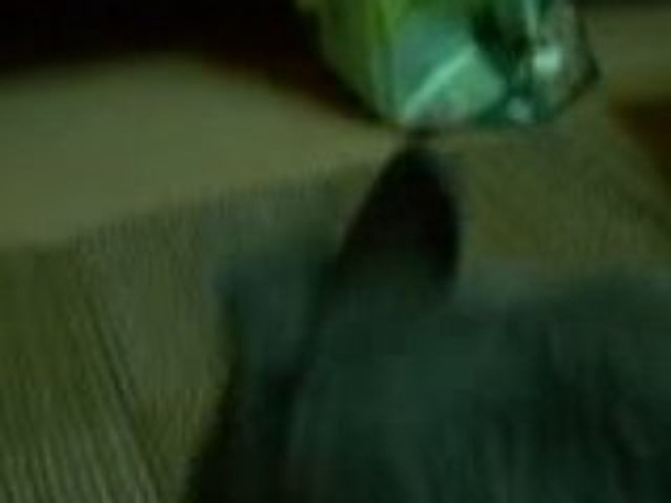 La graine et le Ninou