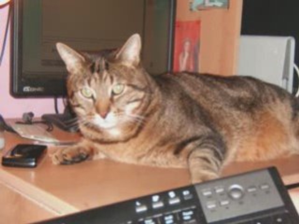 mon oxygene