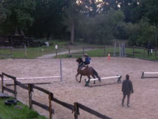 Le cheval c'est trop génial parodie