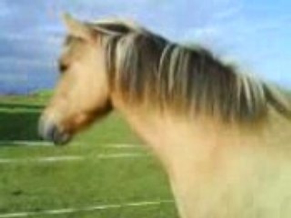 Pilou me mange manekin