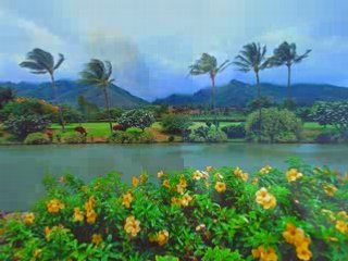 DANCE ME TO YOUR BEUTY WITH..