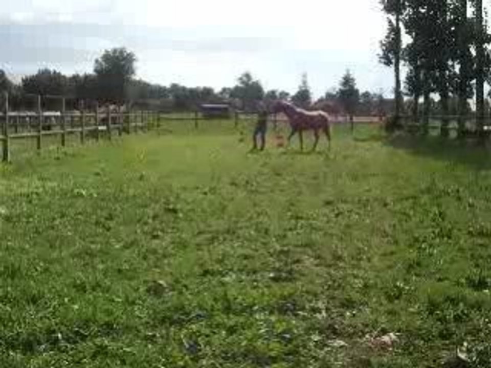Septembre 2008 002