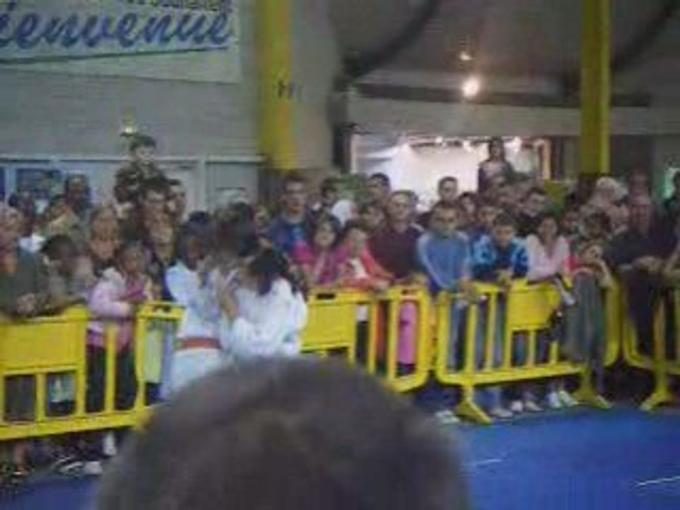 Nihon Tai Jitsu Démonstration 2008