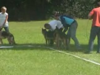 suite vidéo entrenement
