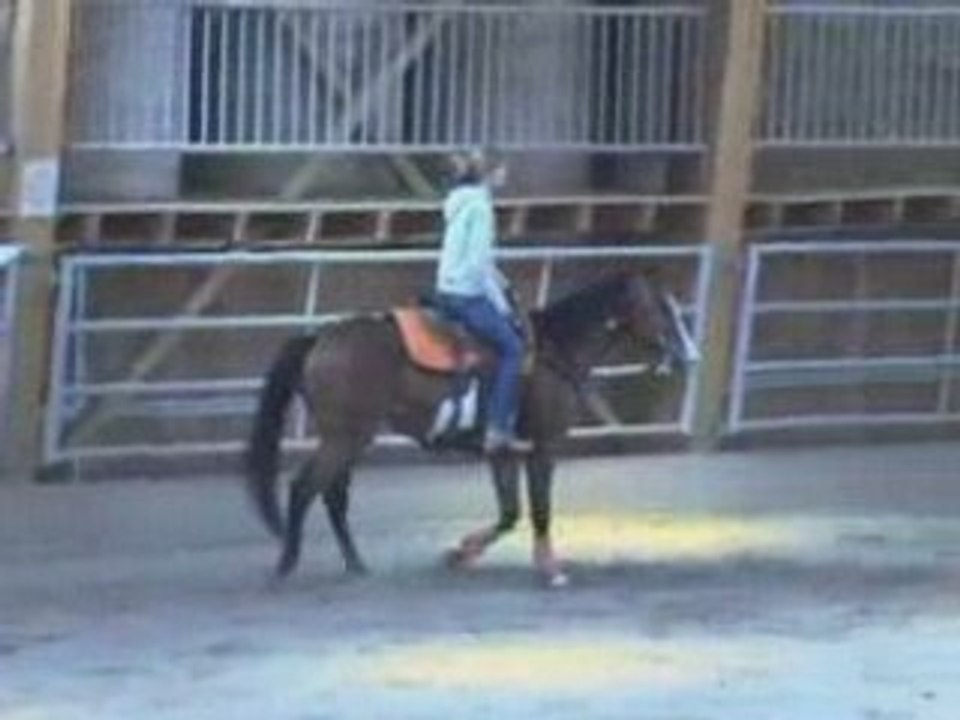 Mon Nono d'cheval foufou