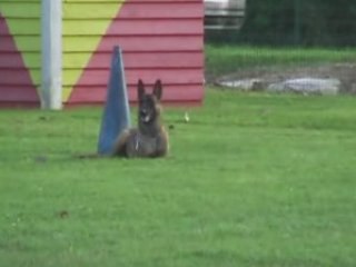 CSAU CAMBERAS 06-09-08