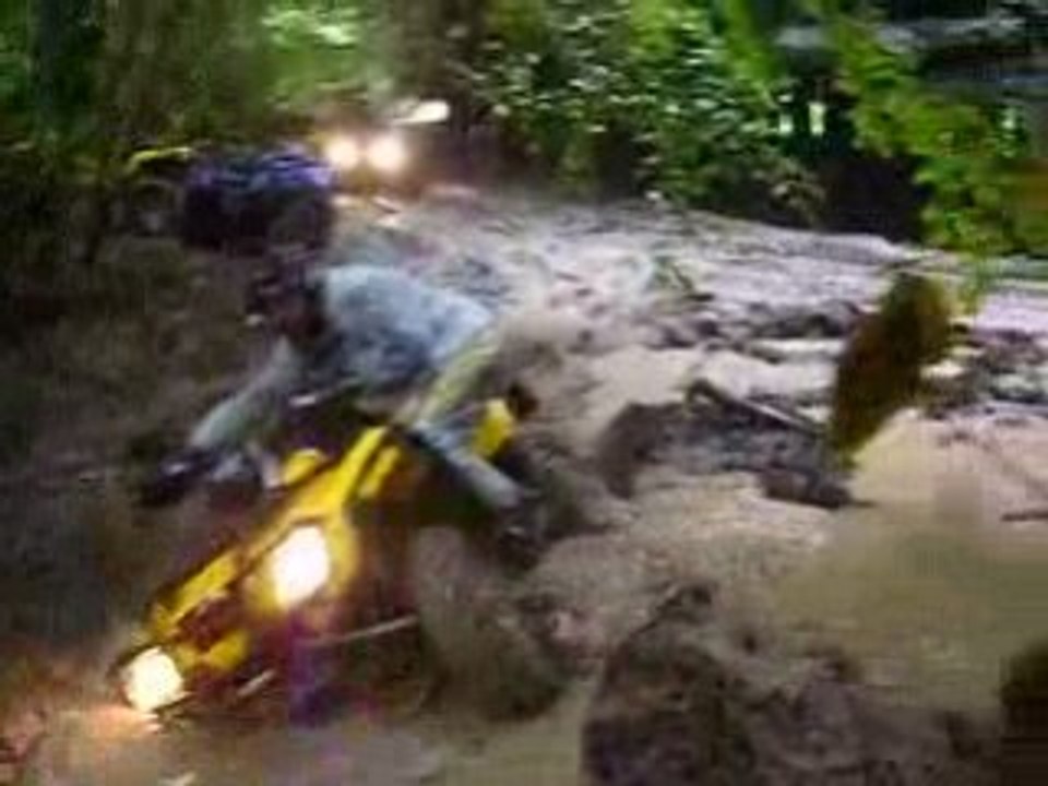 Outlander 650 Planté